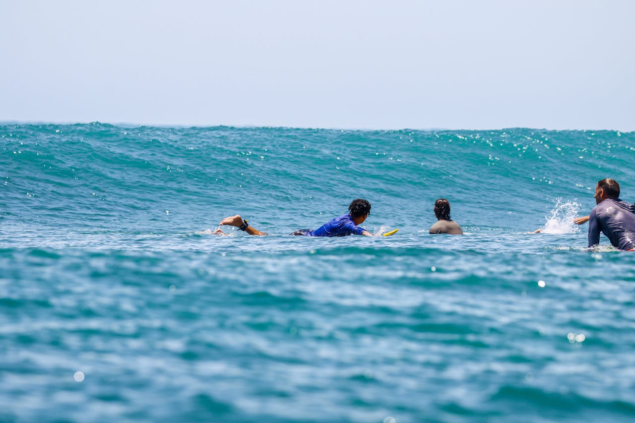Four surfers paddling on surfboards, preparing for an ocean wave on a sunny day.